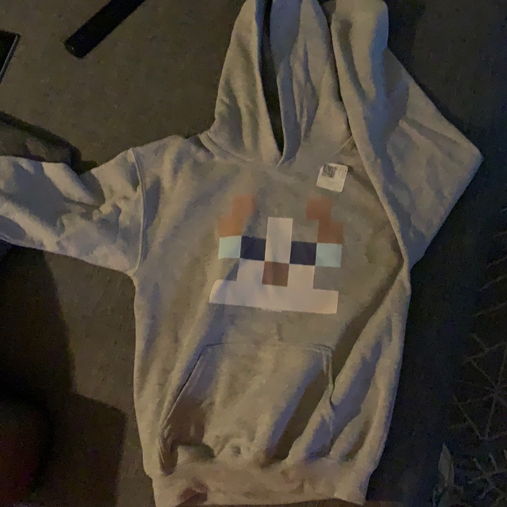 Youth Minecraft hoodie. New. Cat.